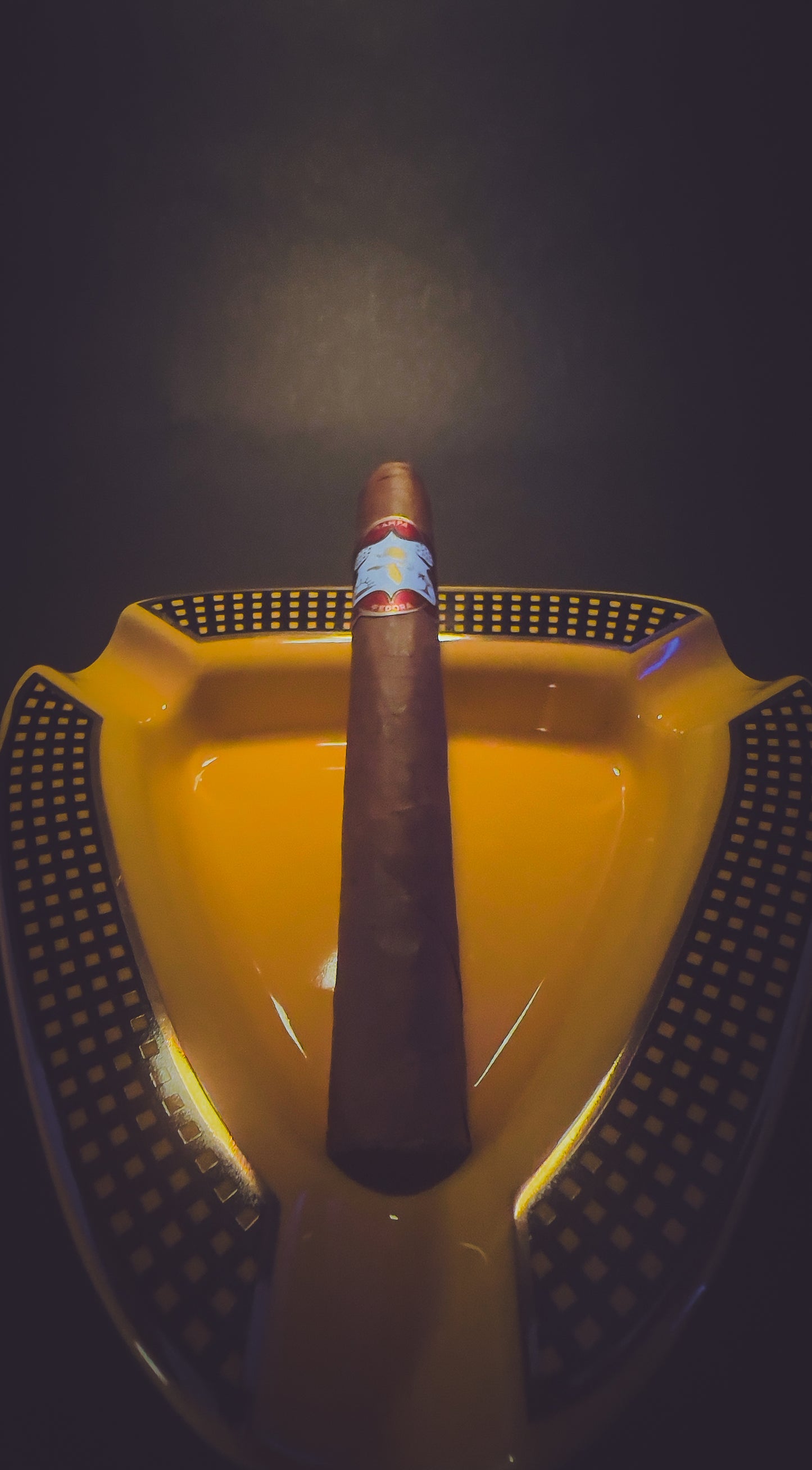 Cameron - 20 Cigars + 5 Free Bundle